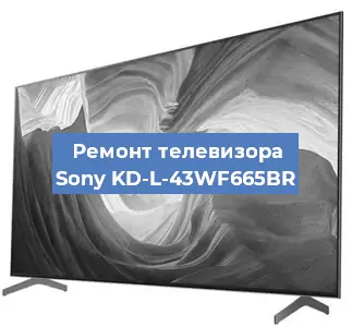 Замена шлейфа на телевизоре Sony KD-L-43WF665BR в Волгограде
